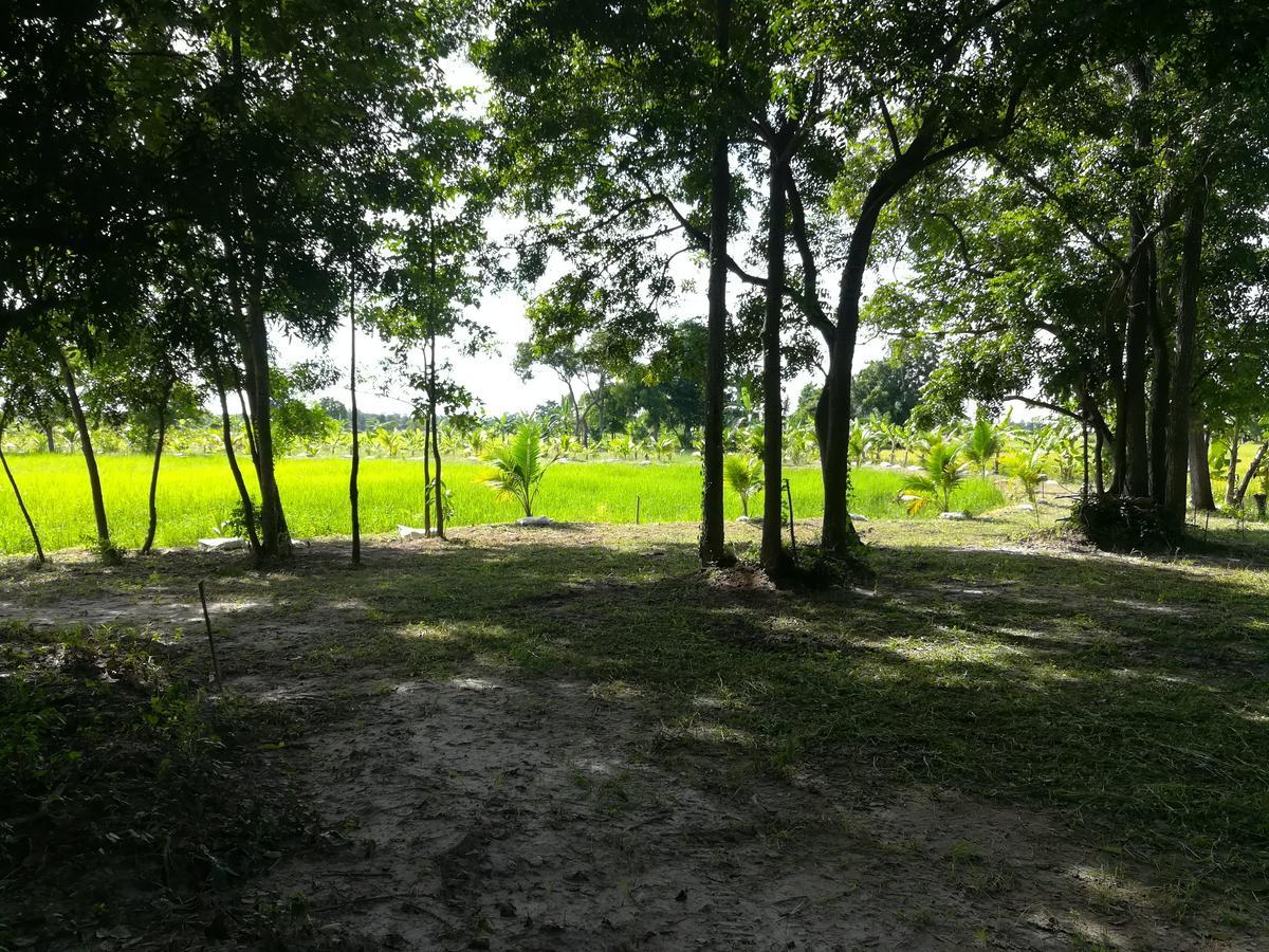 Bn Resort Ban Nong Chum Saeng Ngoại thất bức ảnh