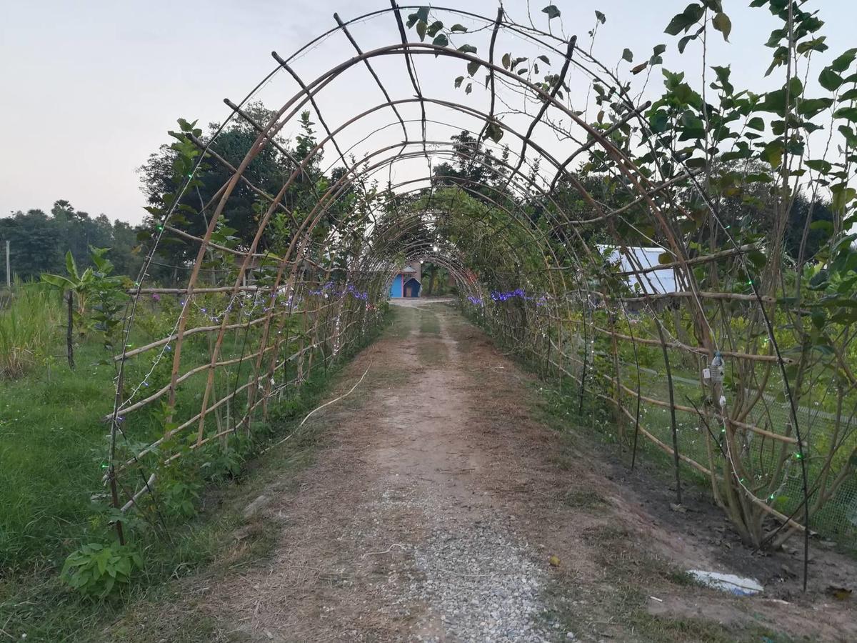 Bn Resort Ban Nong Chum Saeng Ngoại thất bức ảnh