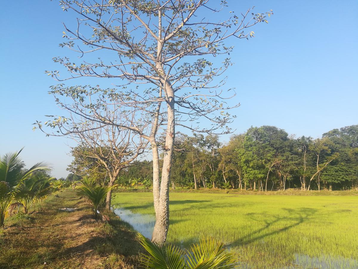 Bn Resort Ban Nong Chum Saeng Ngoại thất bức ảnh
