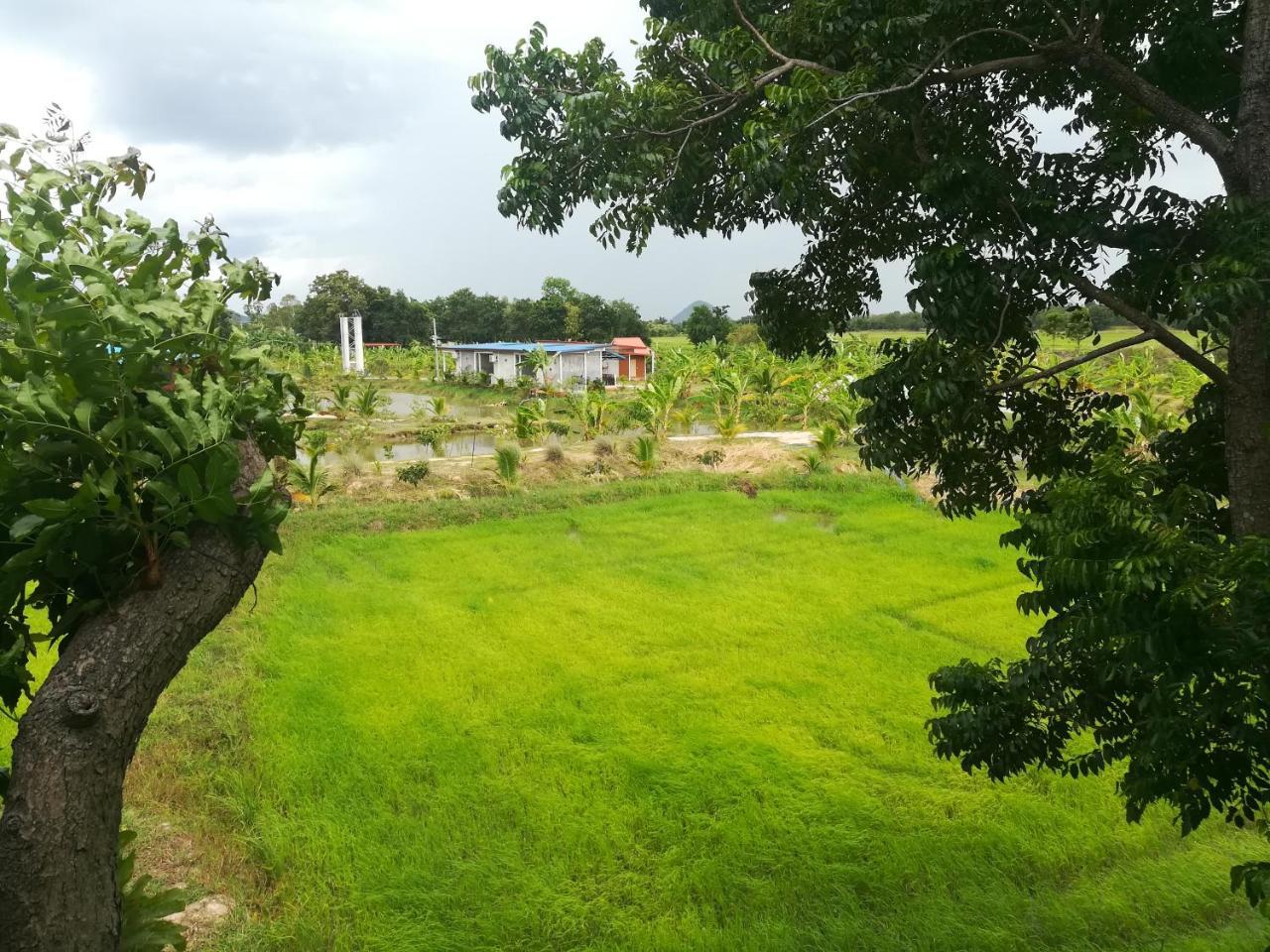 Bn Resort Ban Nong Chum Saeng Ngoại thất bức ảnh