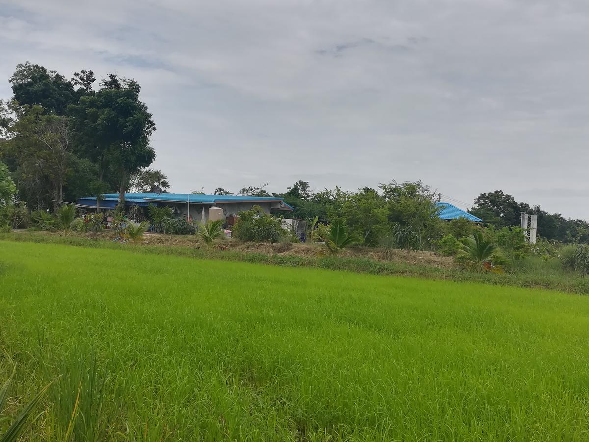 Bn Resort Ban Nong Chum Saeng Ngoại thất bức ảnh